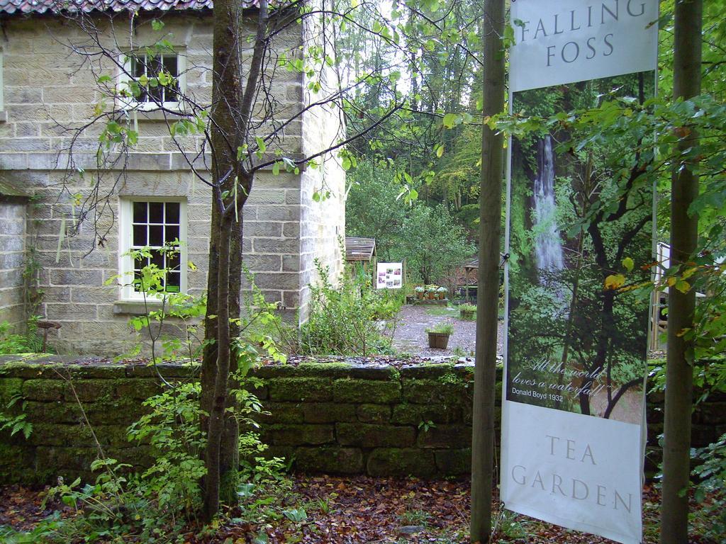 Thorpe Green House Vegetarian Bed&Breakfast Robin Hood's Bay Buitenkant foto