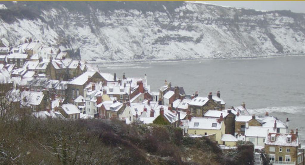 Thorpe Green House Vegetarian Bed&Breakfast Robin Hood's Bay Buitenkant foto
