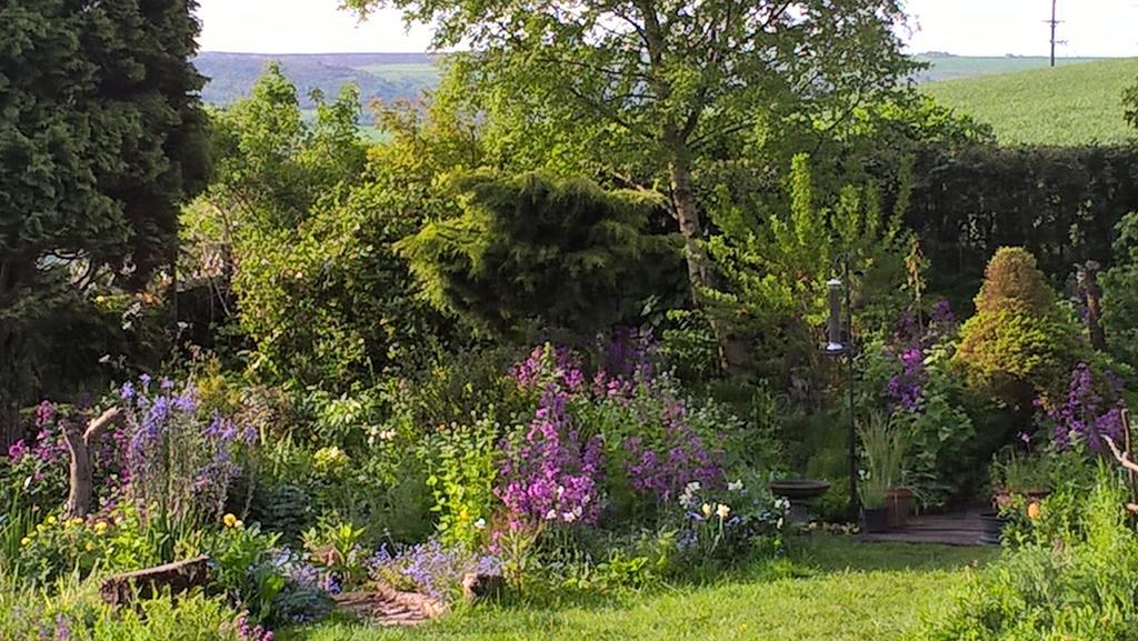 Thorpe Green House Vegetarian Bed&Breakfast Robin Hood's Bay Buitenkant foto