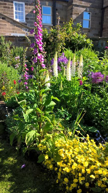 Thorpe Green House Vegetarian Bed&Breakfast Robin Hood's Bay Buitenkant foto