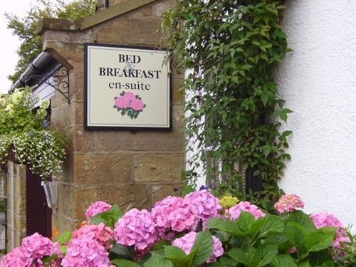 Thorpe Green House Vegetarian Bed&Breakfast Robin Hood's Bay Buitenkant foto